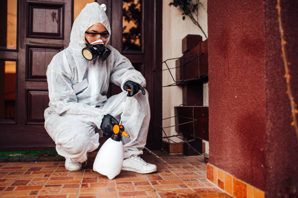 Reliable Ant Control contractor in South Run, VA by Show Me Pest Control